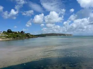 creation worships God